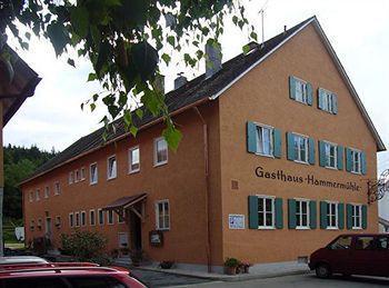 Landgasthof-Hotel Hammermuehle ドナウシュタウフ エクステリア 写真