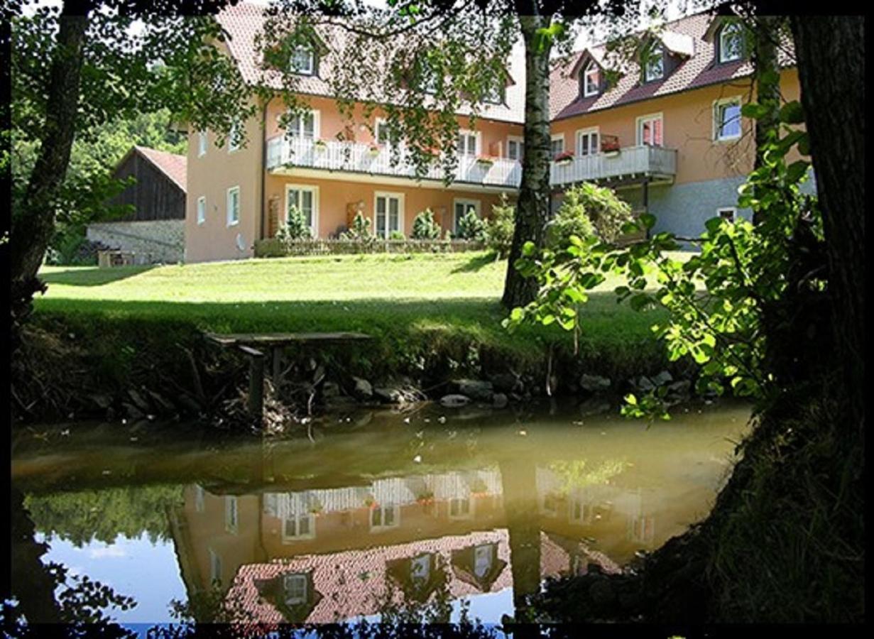 Landgasthof-Hotel Hammermuehle ドナウシュタウフ エクステリア 写真